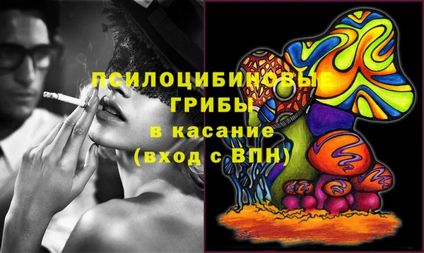 стаф Кодинск