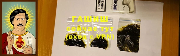 стаф Кодинск