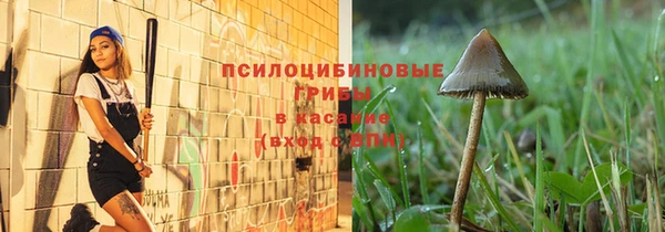 стаф Кодинск