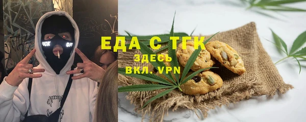 стаф Кодинск