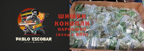 стаф Кодинск