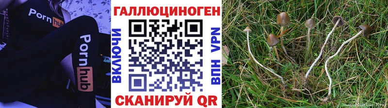 Галлюциногенные грибы GOLDEN TEACHER  Купить закладки  Великие Луки 